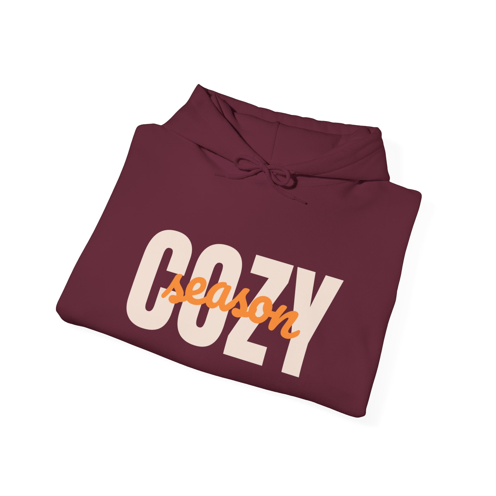Cozy Season Hoodie