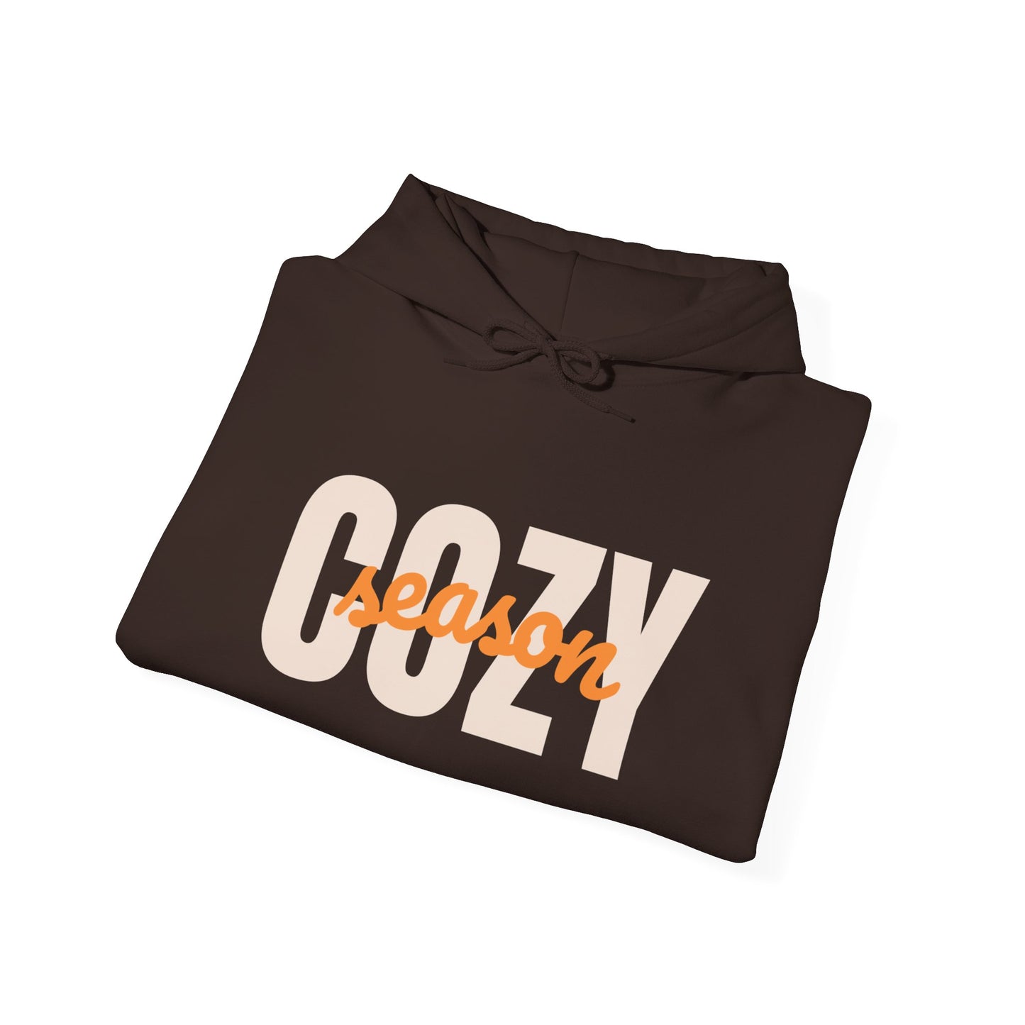 Cozy Season Hoodie