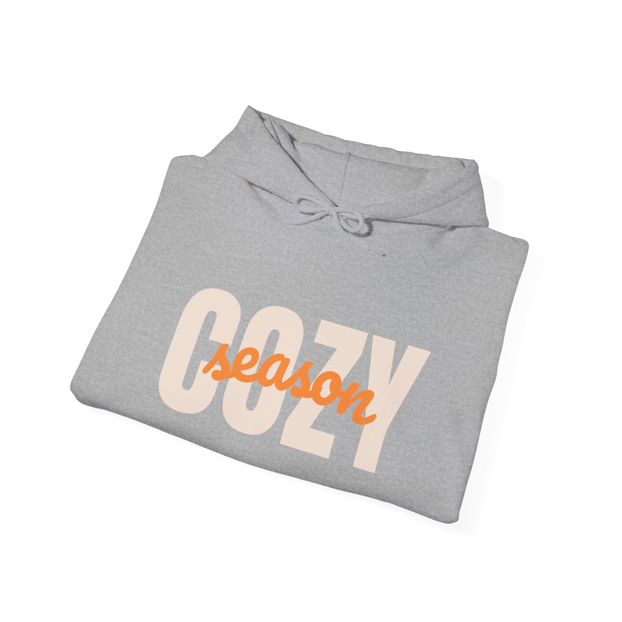 Cozy Season Hoodie