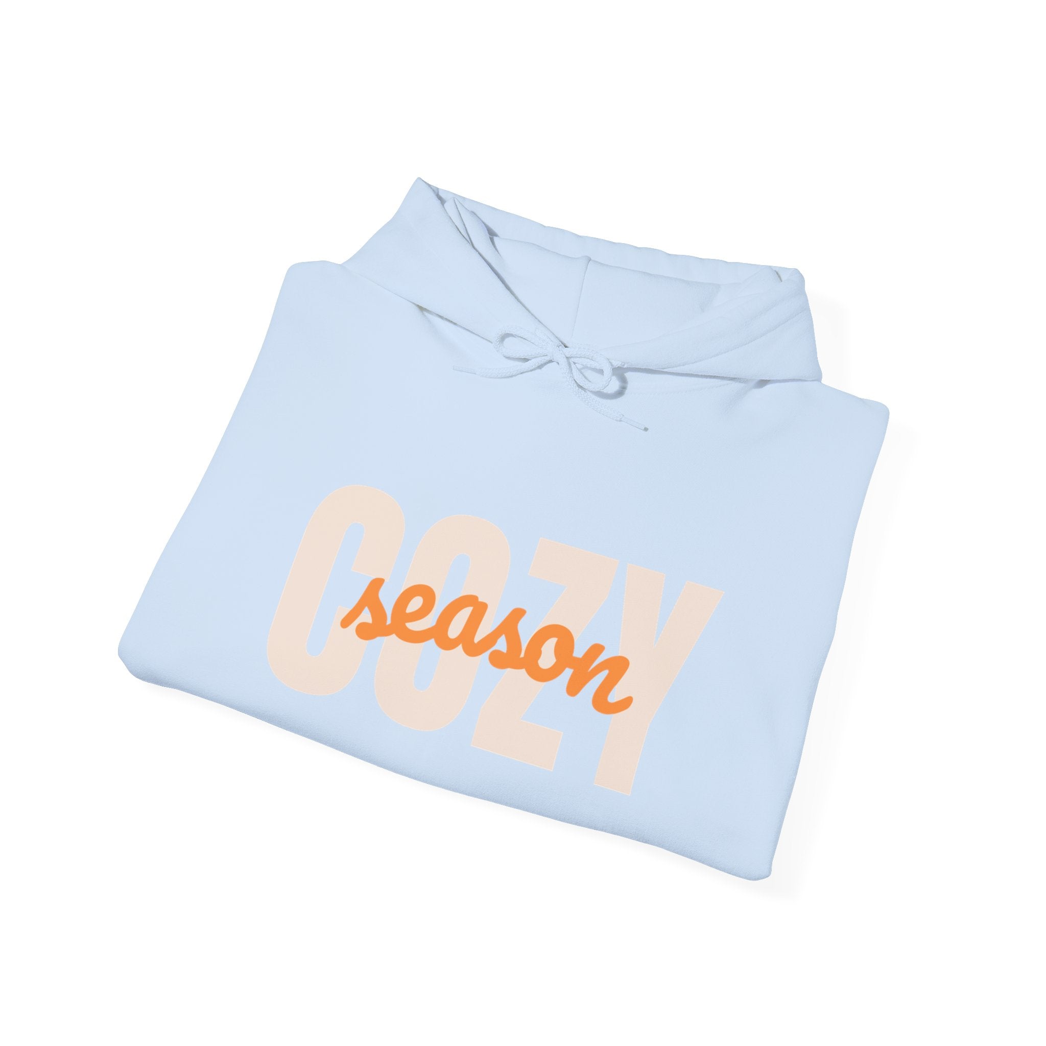 Cozy Season Hoodie