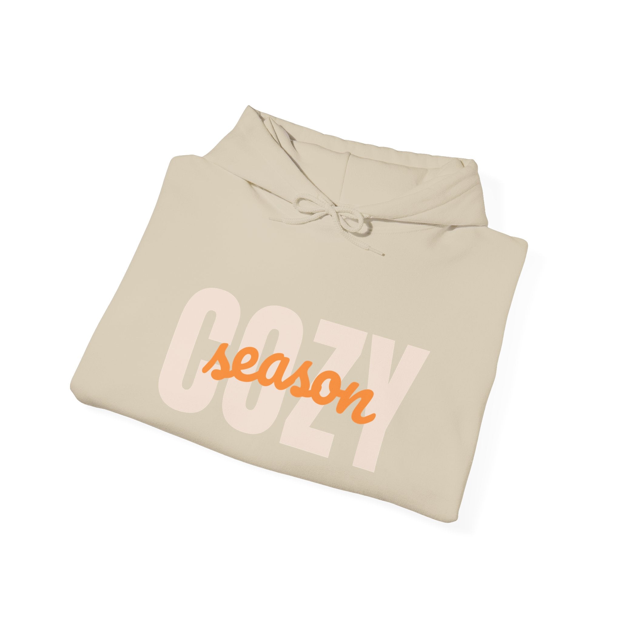 Cozy Season Hoodie